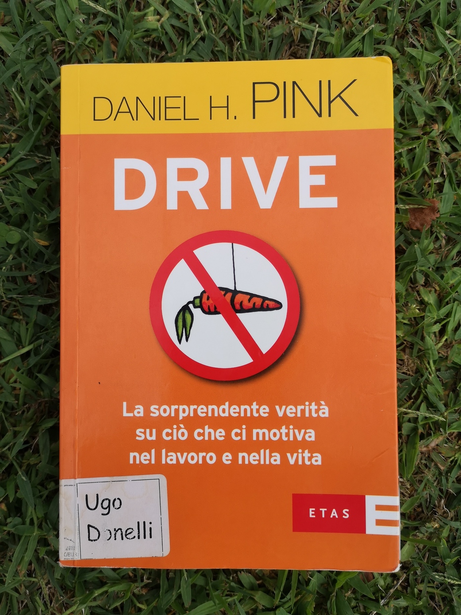 Copertina del libro Drive di Daniel Pink: la sorprendente verità di ciò che ci motiva nel lavoro e nella vita
